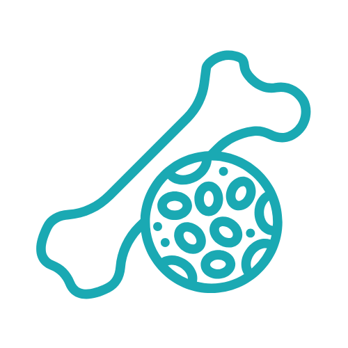 Οστεοπόρωση