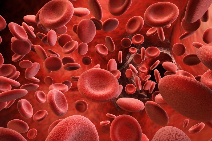 Ποια η διαφορά ανάμεσα στη δυσλιπιδαιμία και στην υπερλιπιδαιμία;