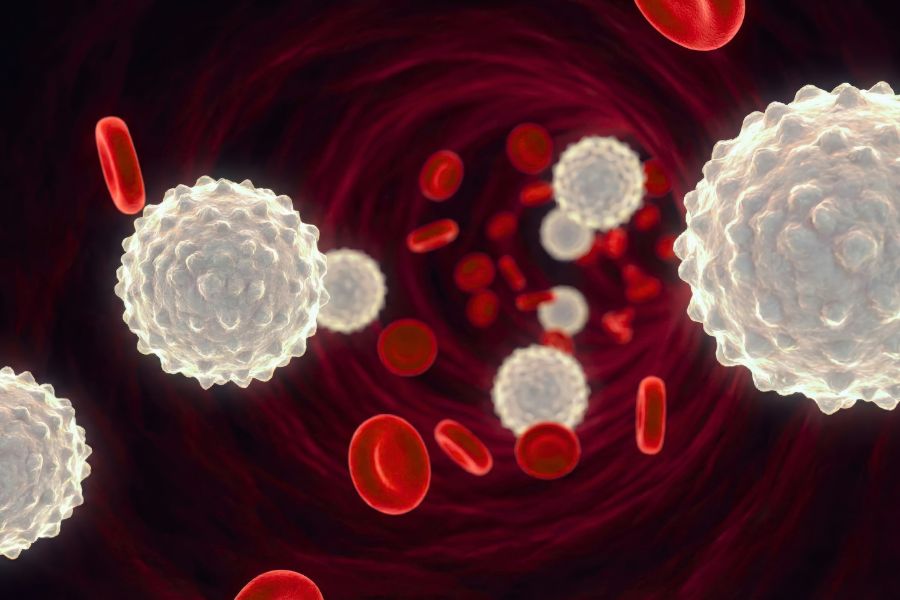 Δυσλιπιδαιμία μετά τα 40: Πότε είναι θέμα τρόπου ζωής και πότε κληρονομικότητας